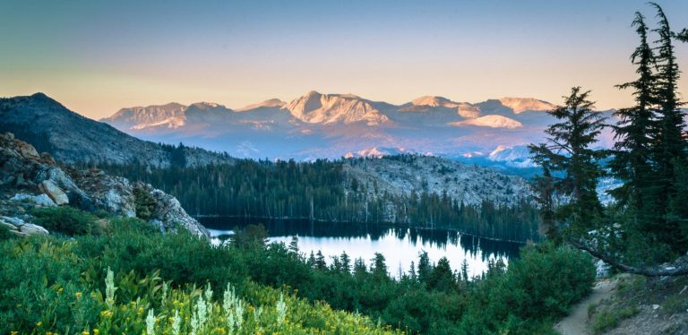 The Best California National Forests To Visit